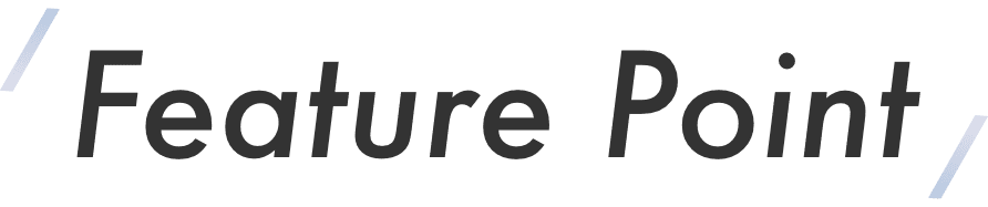 Feature Point